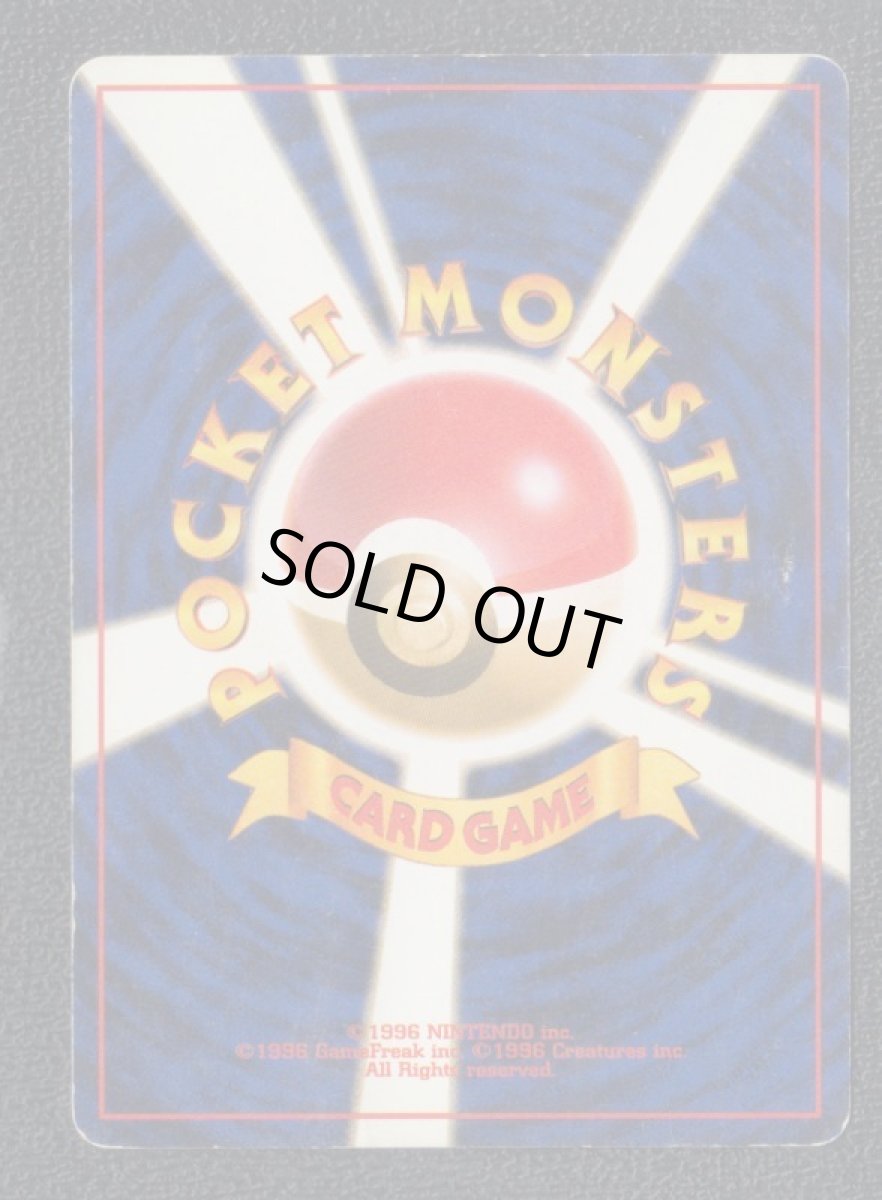 画像2: ヒノアラシ (2)