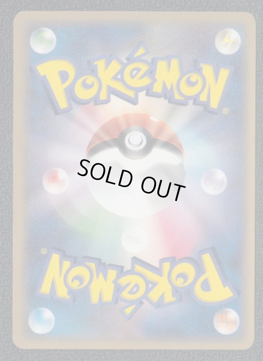 画像2: ピジョン (2)