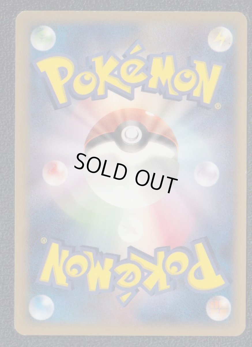 画像2:  イーブイ (2)