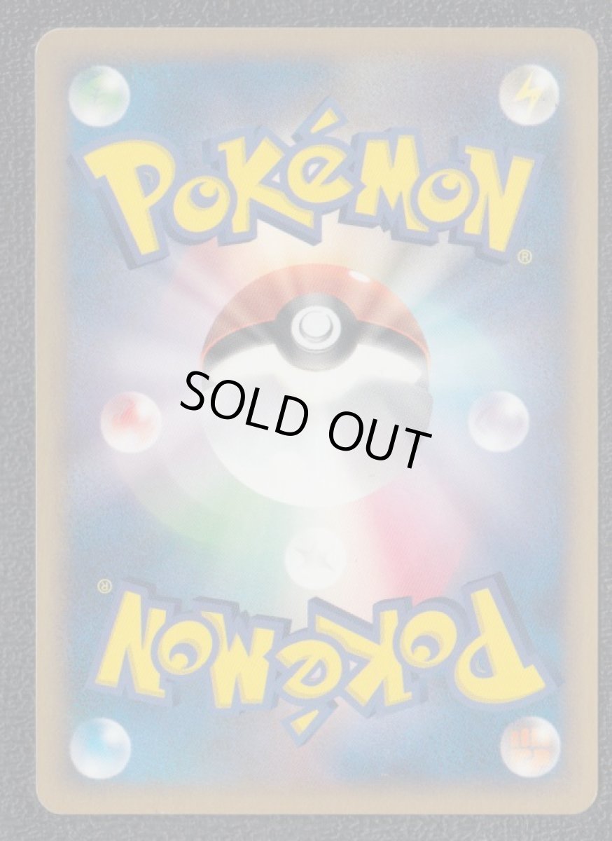 画像2: ツワブキのプロジェクト (2)