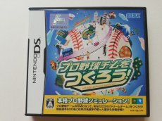 画像1: プロ野球チームをつくろう！　箱説有　ニンテンドーDS (1)