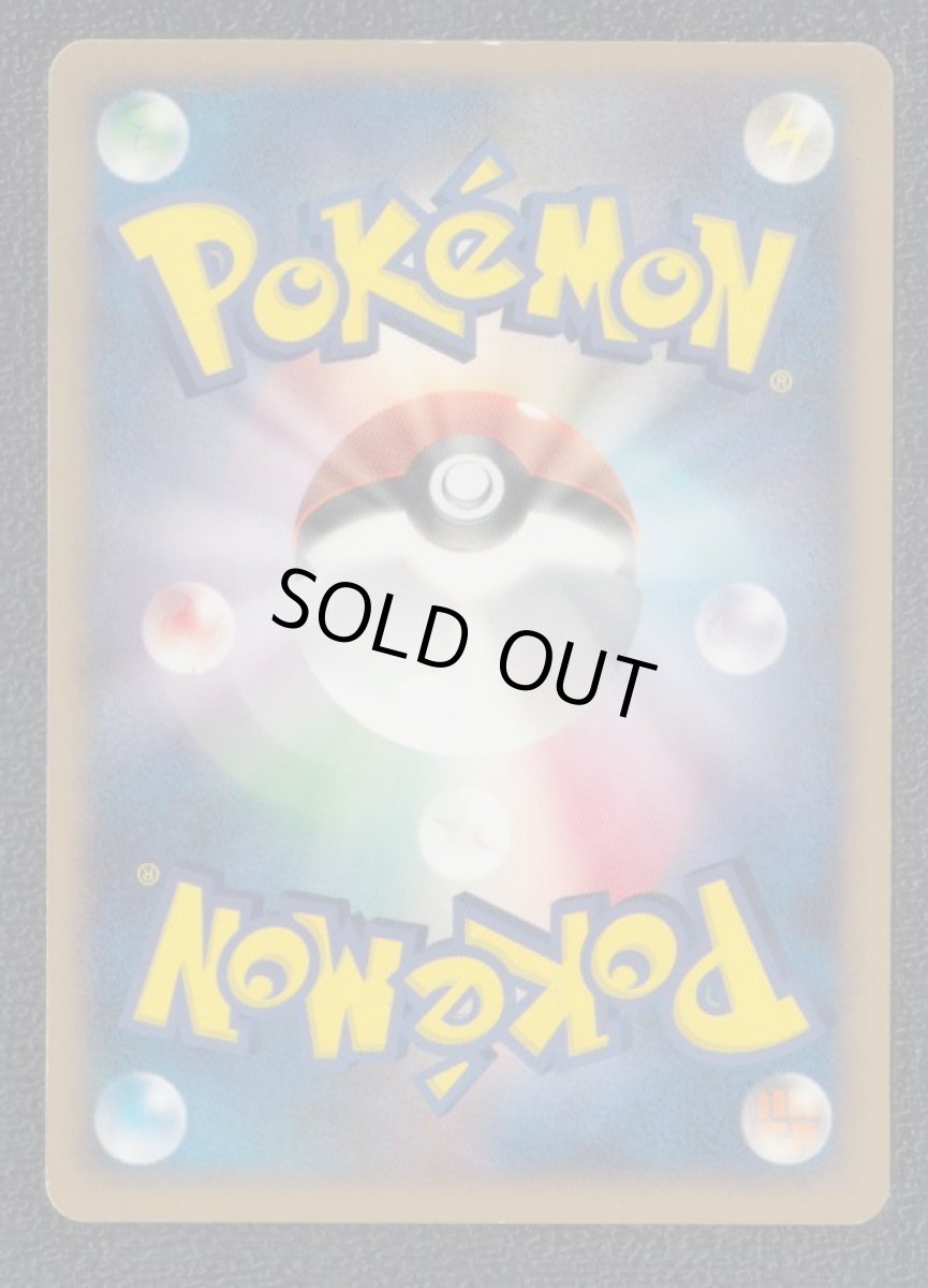 画像2: ルカリオ (2)