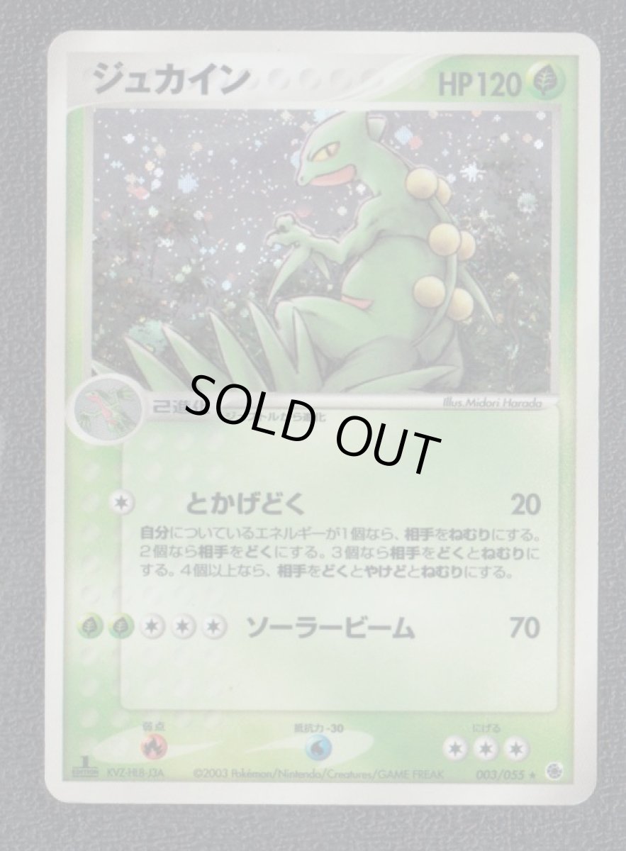 画像1: ジュカイン　ポケモンカード (1)