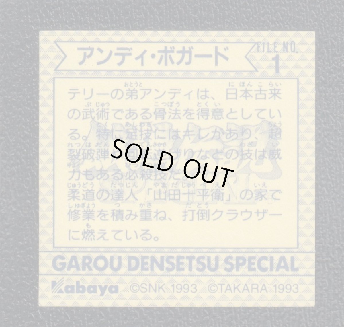 画像2: アンディ・ボガード　餓狼伝説　カバヤkabaya (2)