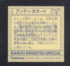 画像2: アンディ・ボガード　餓狼伝説　カバヤkabaya (2)