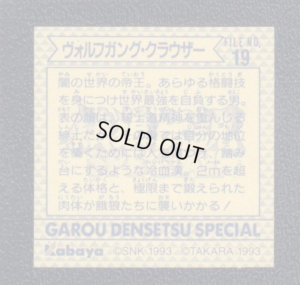 画像2: ヴォルフガング・クラウザー　餓狼伝説　カバヤkabaya (2)