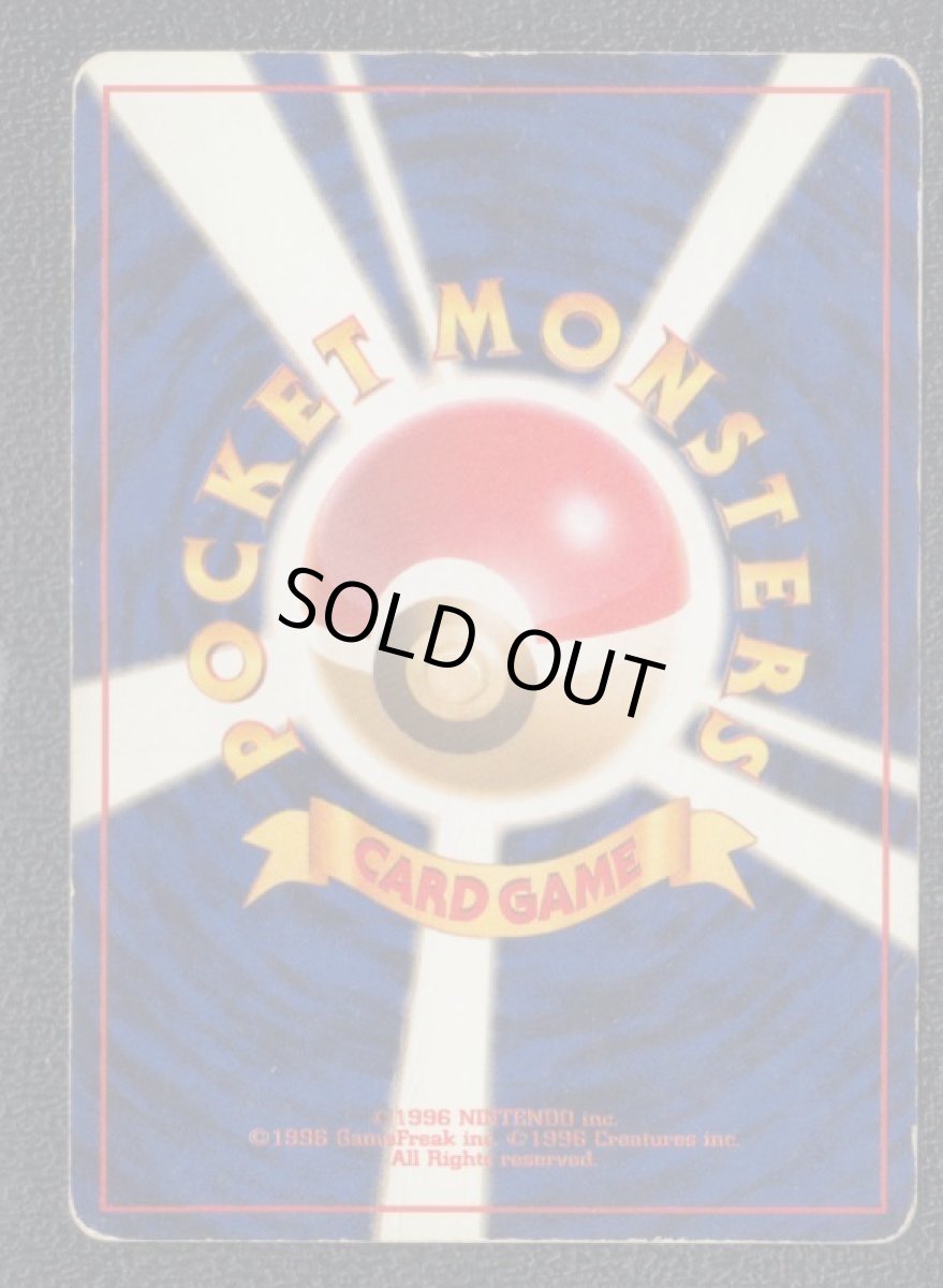 画像2: カスミのシードラ (2)