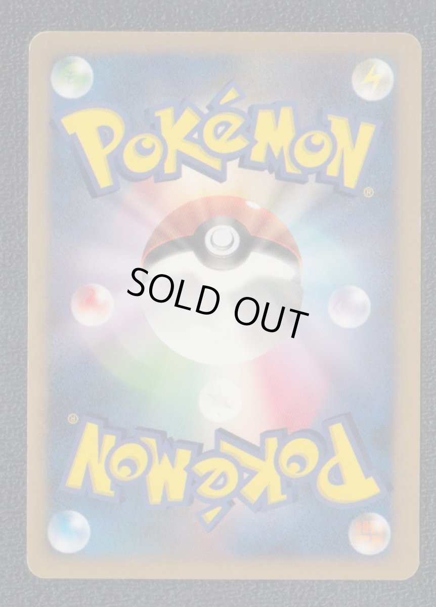 画像2: エレキブル (2)