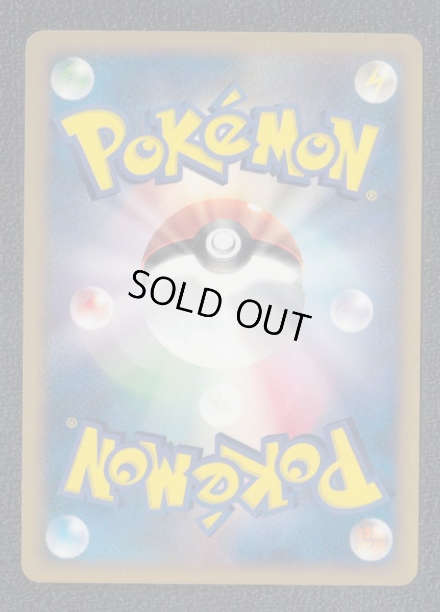 画像2: クロバット カードe　ノーマル (2)