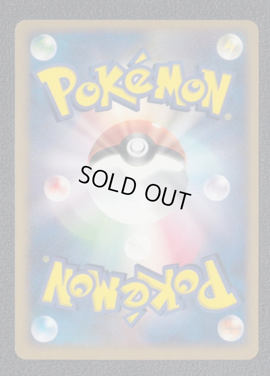 画像2: アーマルド (2)