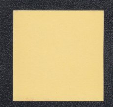 画像2: 蚤ノフ王　サンプル　状態【B】 (2)