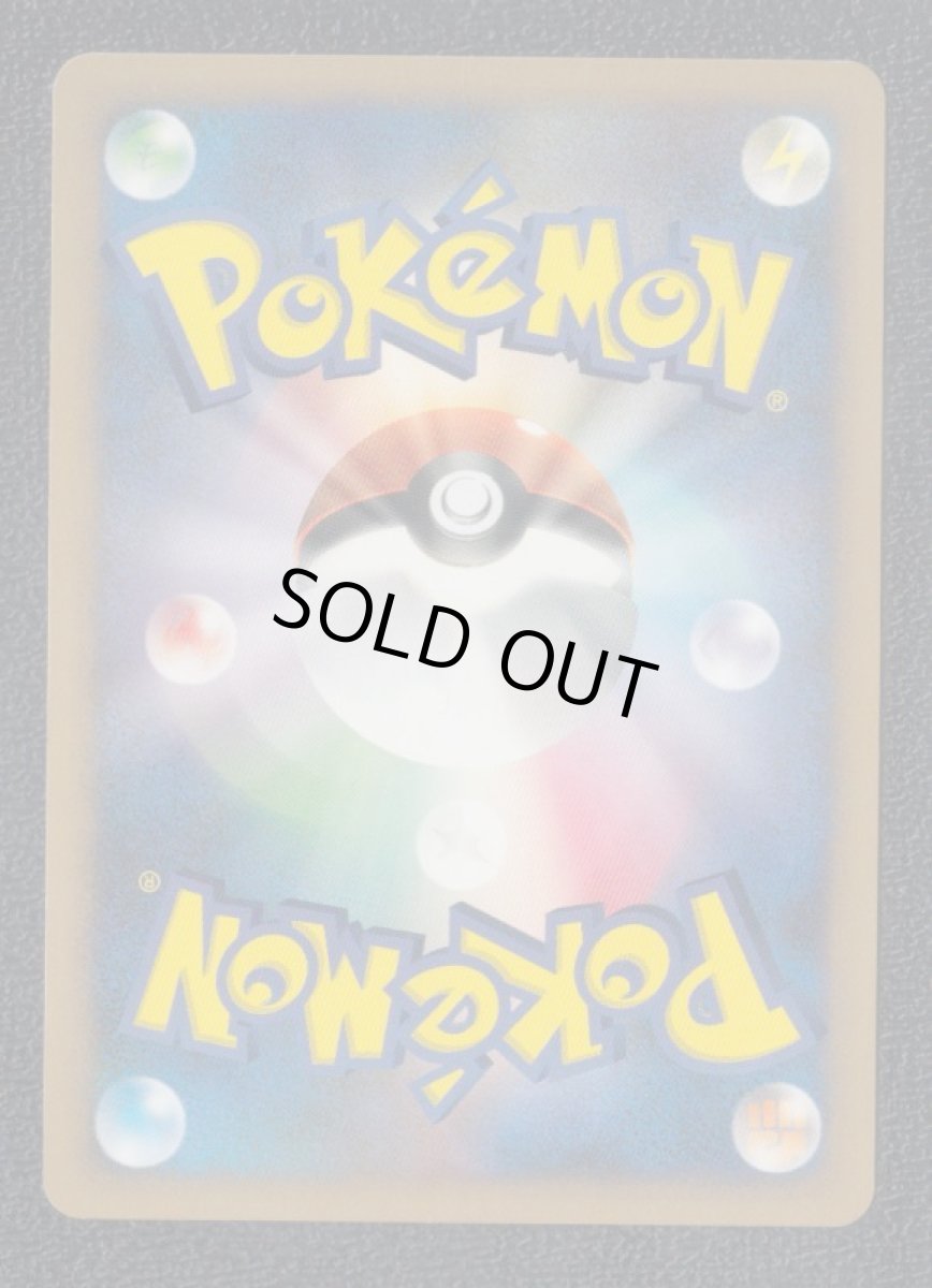 画像2: ヒードランLV.45 (2)