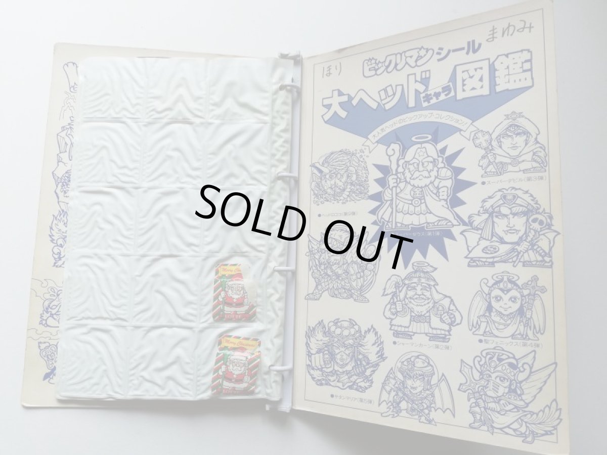 画像9: ビッグアルバムセット　管理7m7 (9)