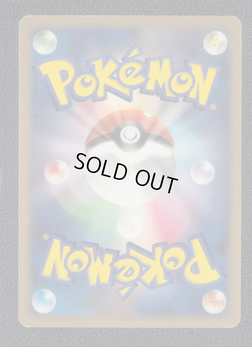 画像2: ヨノワール　lv.48　状態【B】 (2)