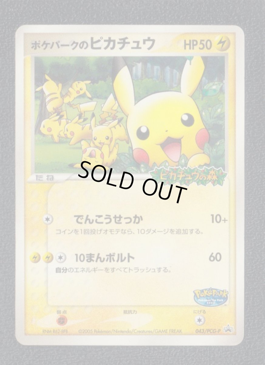 画像1: ポケパークのピカチュウ　状態【B】　ポケモンカード (1)