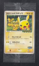 画像1: ポケパークのピカチュウ　未開封　ポケモンカード　管理8h5 (1)