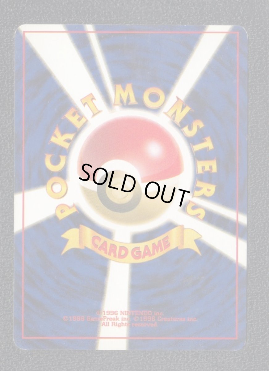 画像2: サカキ　状態【B】 (2)