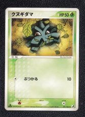 画像1: クヌギダマ　状態【A】　ポケモンカード (1)