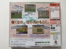 画像4: プロ野球チームをつくろう！　帯葉書チラシ箱説有　DCドリームキャスト【管理9m3】 (4)