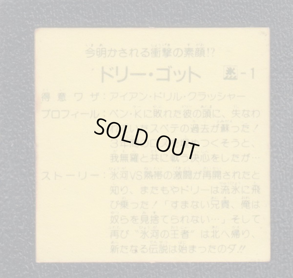 画像2: ドリー・ゴッド ハッスルマッチ (2)
