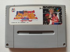 画像1: 実戦 バスフィッシング必勝法 in USA　箱説無　SFCスーパーファミコン【管理1-15】 (1)