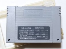 画像6: 甲竜伝説ヴィルガスト　葉書箱説有　SFCスーパーファミコン【管理9N7】 (6)