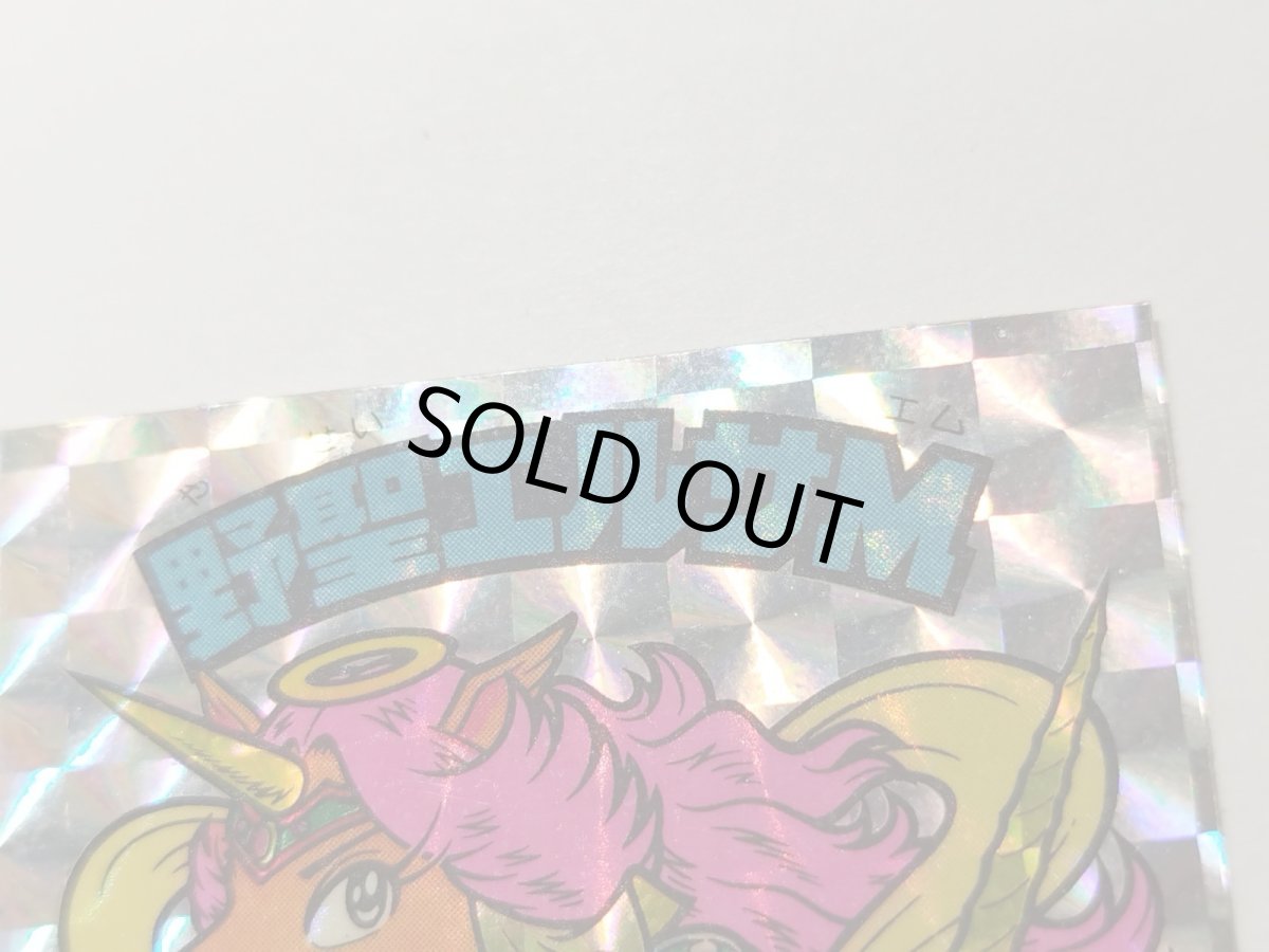 画像4: 野聖エルサM　第4　アイス版　状態【B】 (4)