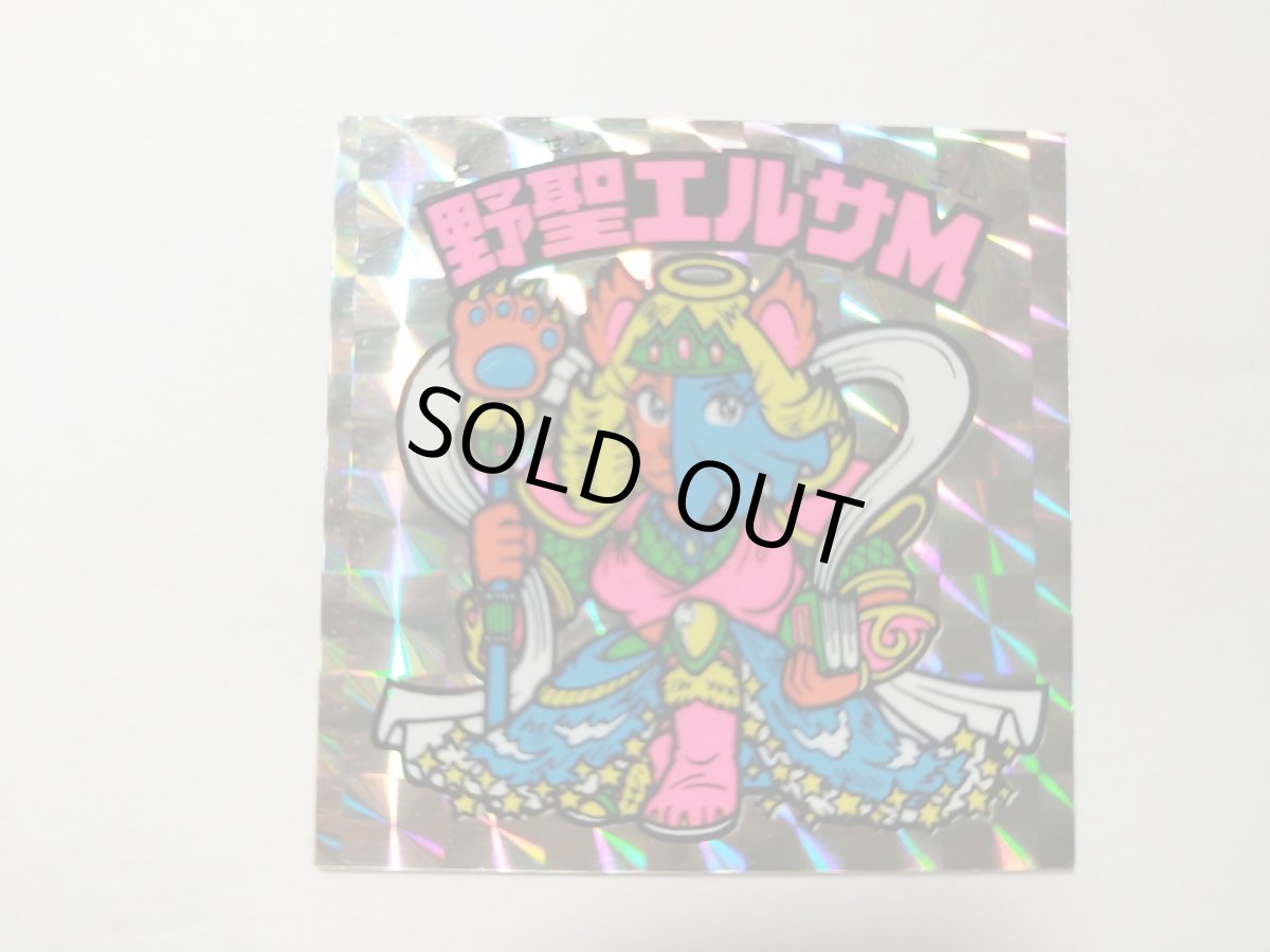 画像3: 野聖エルサM　状態【A】No.4 (3)