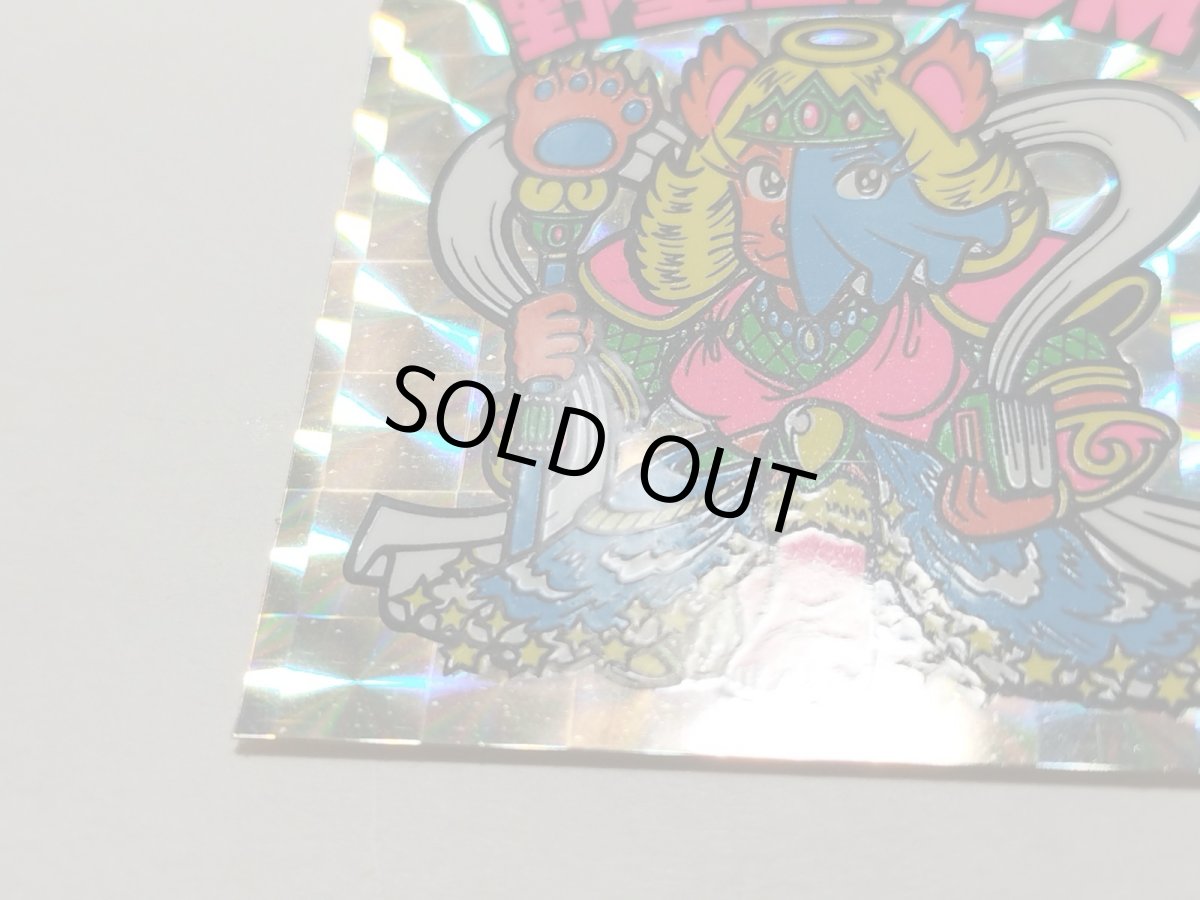 画像7: 野聖エルサM　状態【A】No.4 (7)