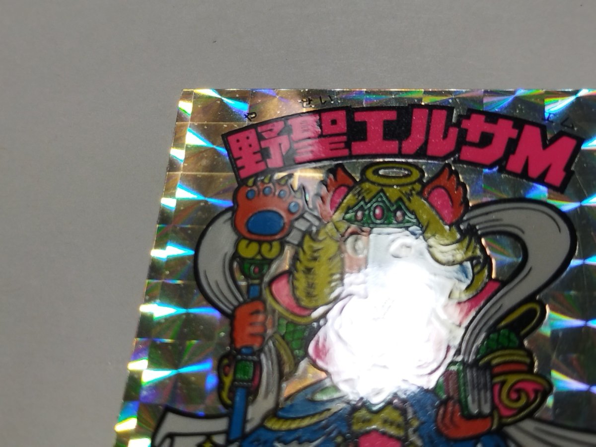 画像6: 野聖エルサM 状態【A】No.4 (6)