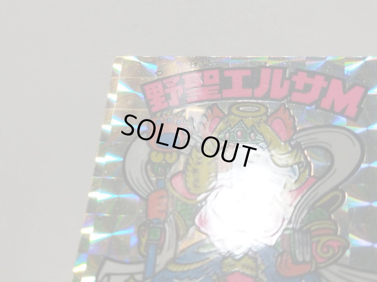 画像6: 野聖エルサM　状態【A】No.4 (6)