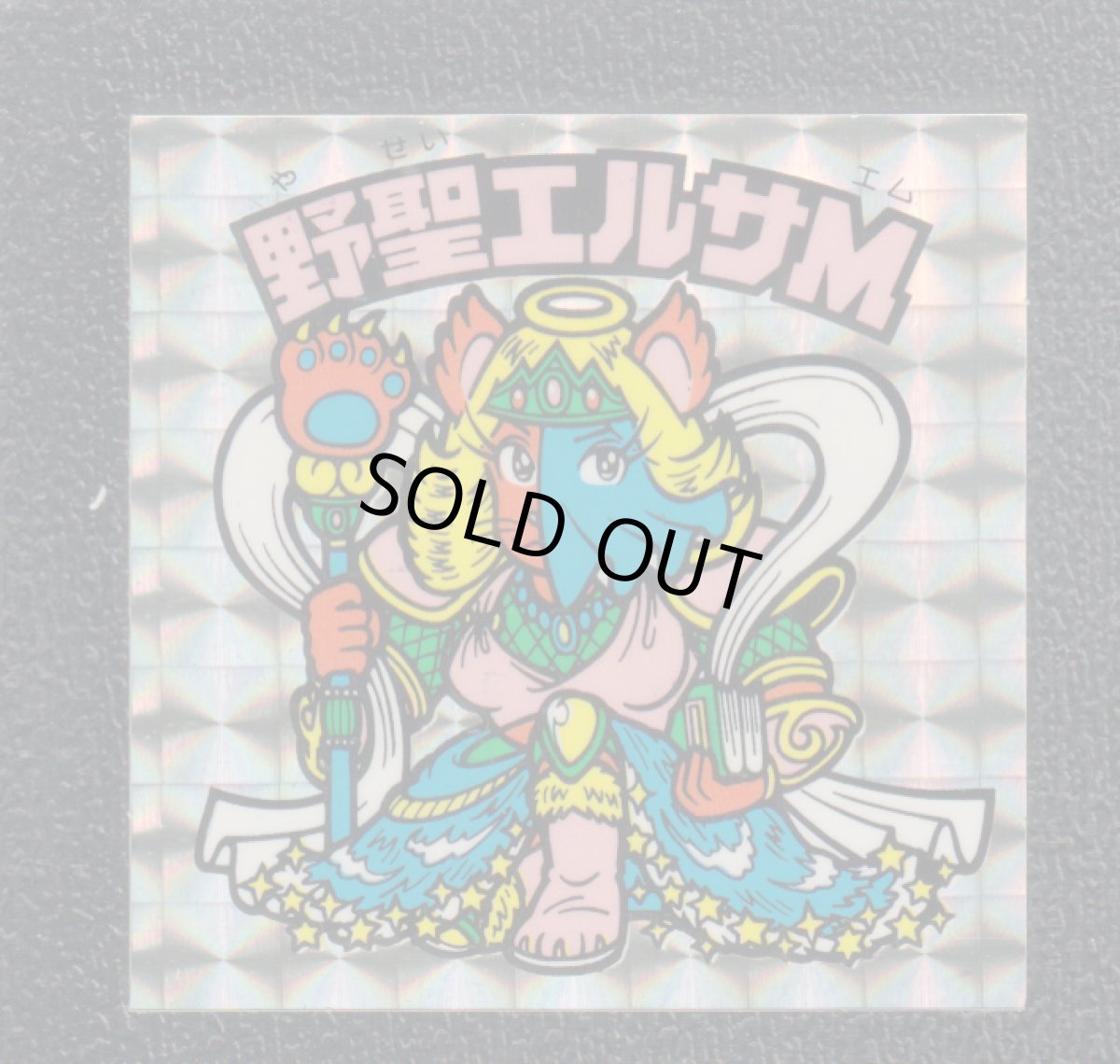 画像1: 野聖エルサM　状態【A】No.4 (1)