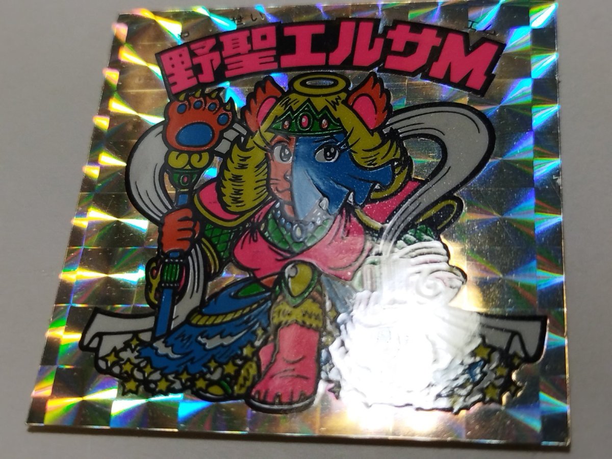 画像5: 野聖エルサM 状態【A】No.4 (5)