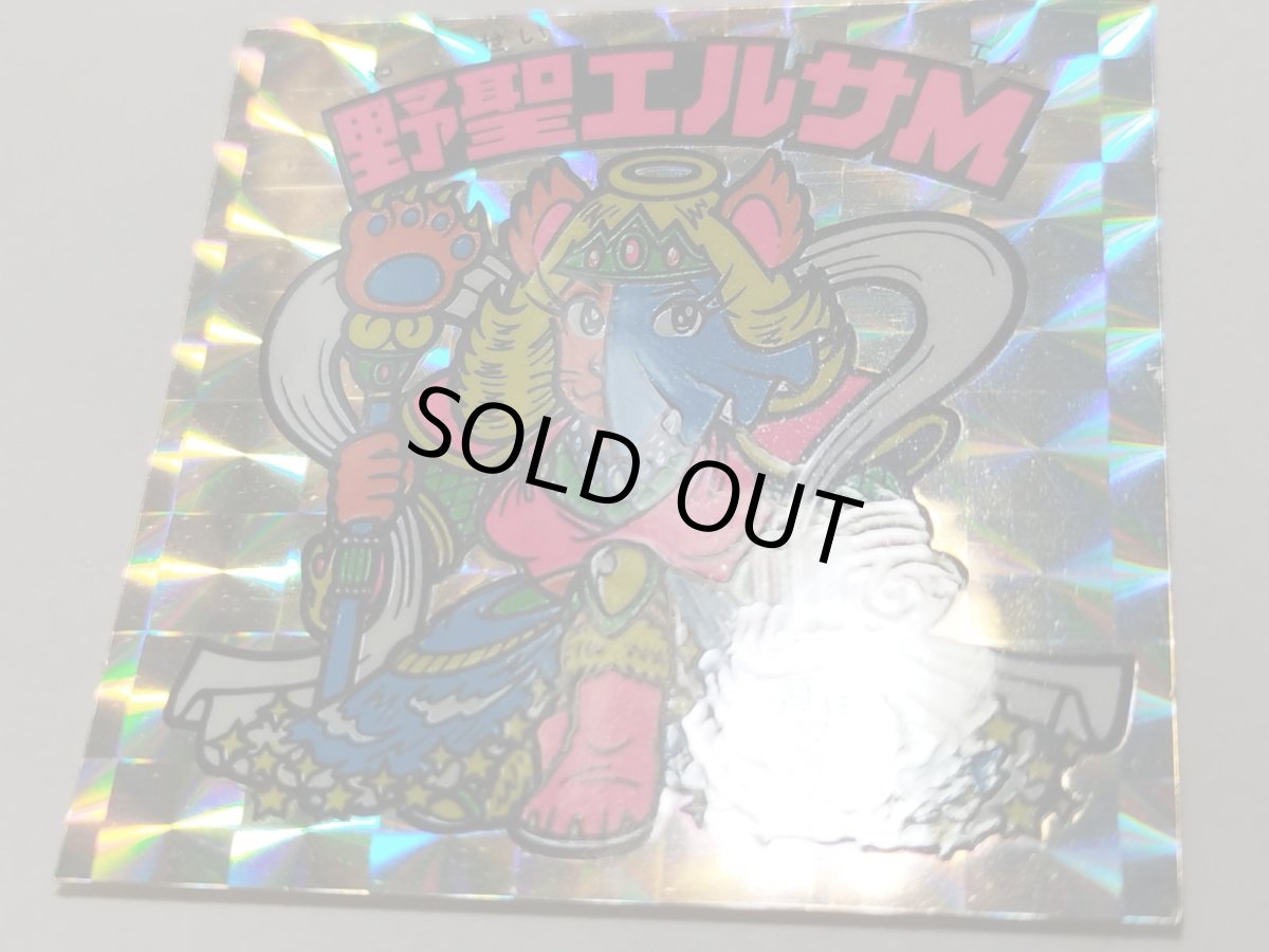 画像5: 野聖エルサM　状態【A】No.4 (5)