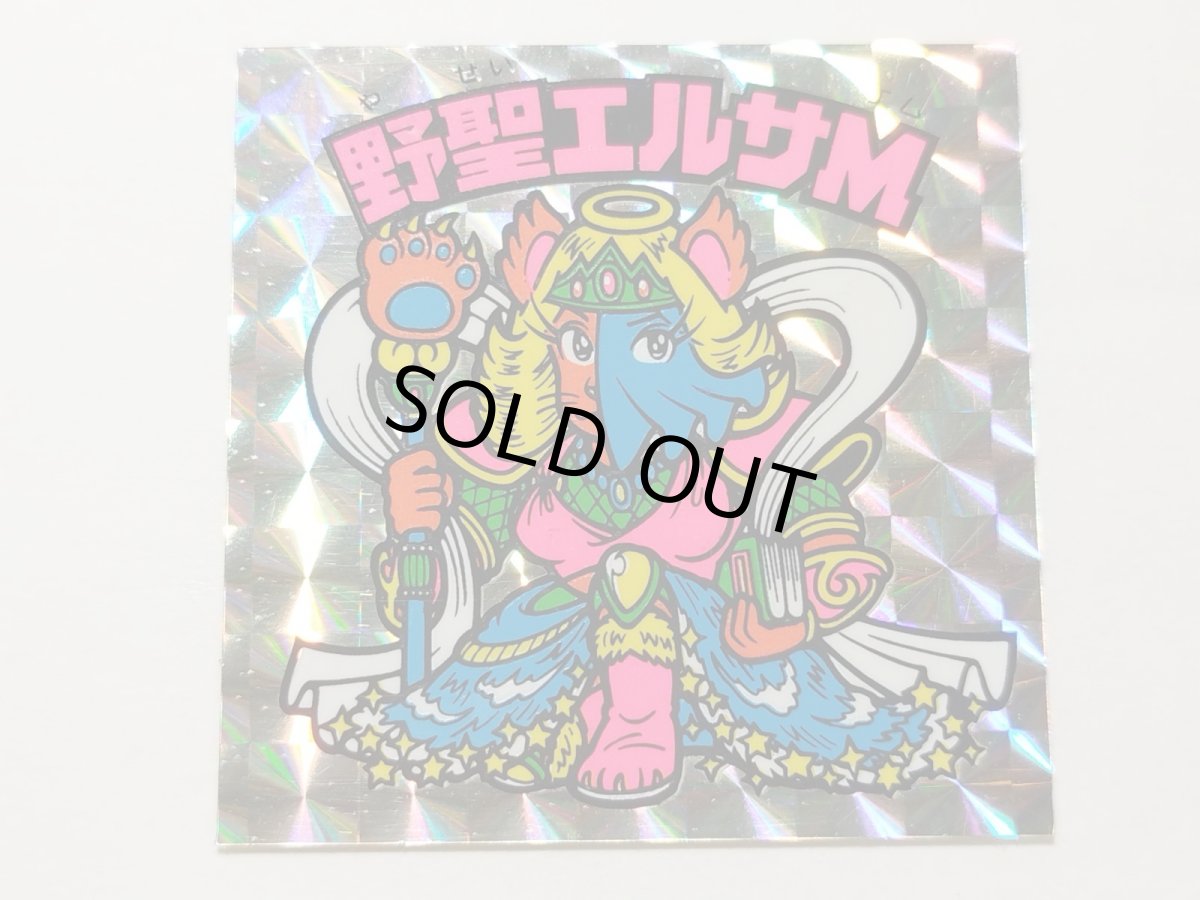 画像4: 野聖エルサM　状態【A】No.4 (4)