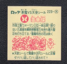 画像2: 澄華蝶　状態【B】 (2)