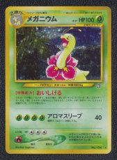 画像1: メガニウム　状態【B】　旧ポケモンカード (1)