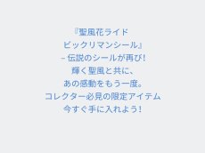 画像3: 聖風花ライド　状態【B】NO2 (3)