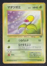画像1: マダツボミ　状態【B】旧ポケモンカード (1)