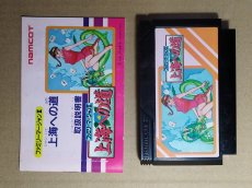 画像5: ファミリーマージャンII　上海への道　葉書役一覧チラシ保証書箱説無ステッカー未使用　FCファミコン【5h1】 (5)