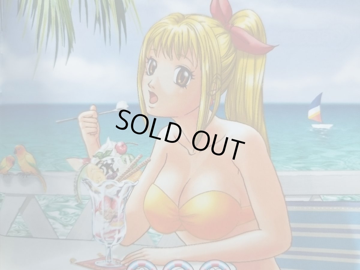 画像6: 【美品評価価格】三洋パチンコパラダイス8 新海物語　箱説有　PS2プレイステーション2【7h7】 (6)