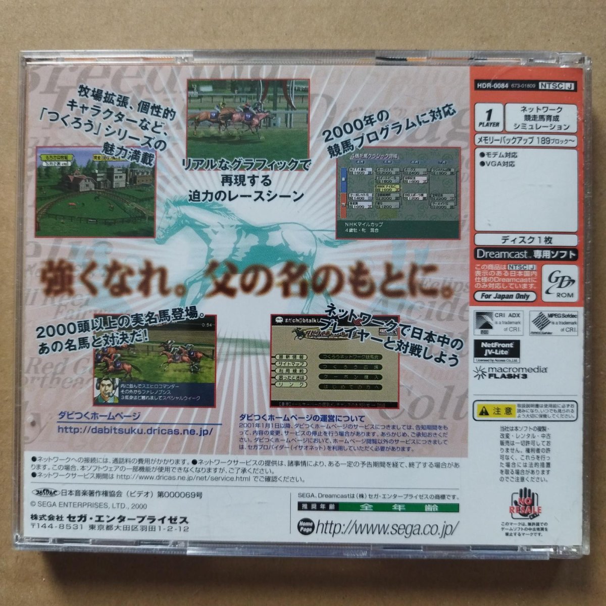 画像3: ダビつくダービー馬をつくろう! 箱説有 DCドリームキャスト【4N3】 (3)