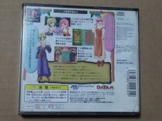 画像3: エバーグリーン・アベニュー　箱説無　PS1プレイステーション【9h2】 (3)