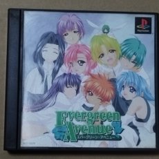 画像1: エバーグリーン・アベニュー　箱説無　PS1プレイステーション【9h2】 (1)