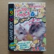 ハムスターパラダイス4 Amazon | ハムスターパラダイス4 | ゲームソフト