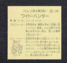 画像2: 【ケバつき】ワイド・ハンター　状態【A】　ガムラツイスト (2)