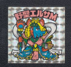 画像1: 野聖エルサM　状態【Ｂ】No.1 (1)