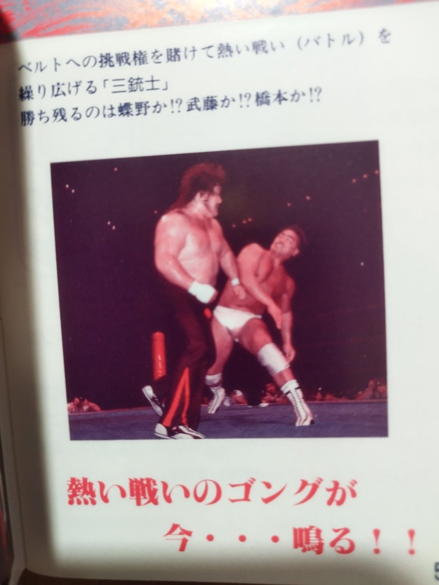 画像10: 闘魂三銃士 新日本プロレスリング　箱説有　GBゲームボーイ【6m5】 (10)