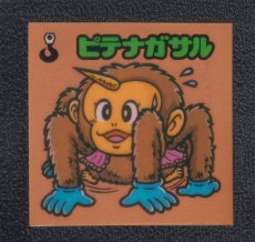 画像1: ピテナガサル　状態【B】 (1)