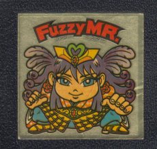 画像1: ＦuzzyＭ.Ｒ　ファジーミスター　状態【B】 (1)